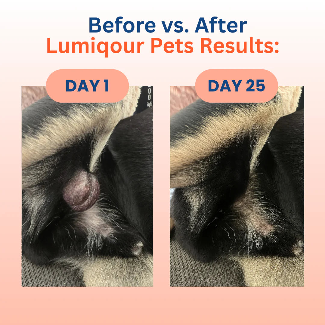 Turkey Tail Probiotic™