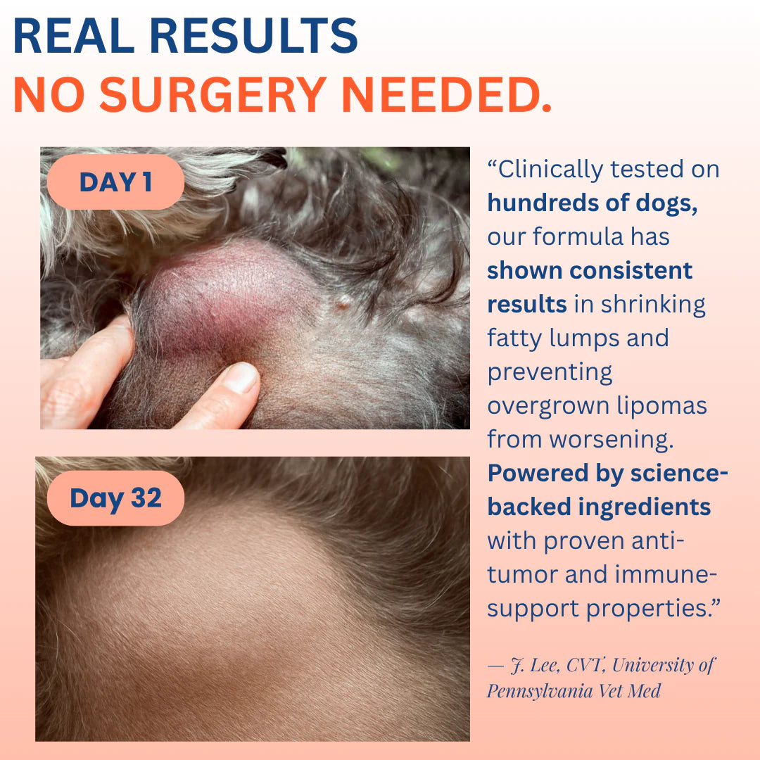 Turkey Tail Probiotic™