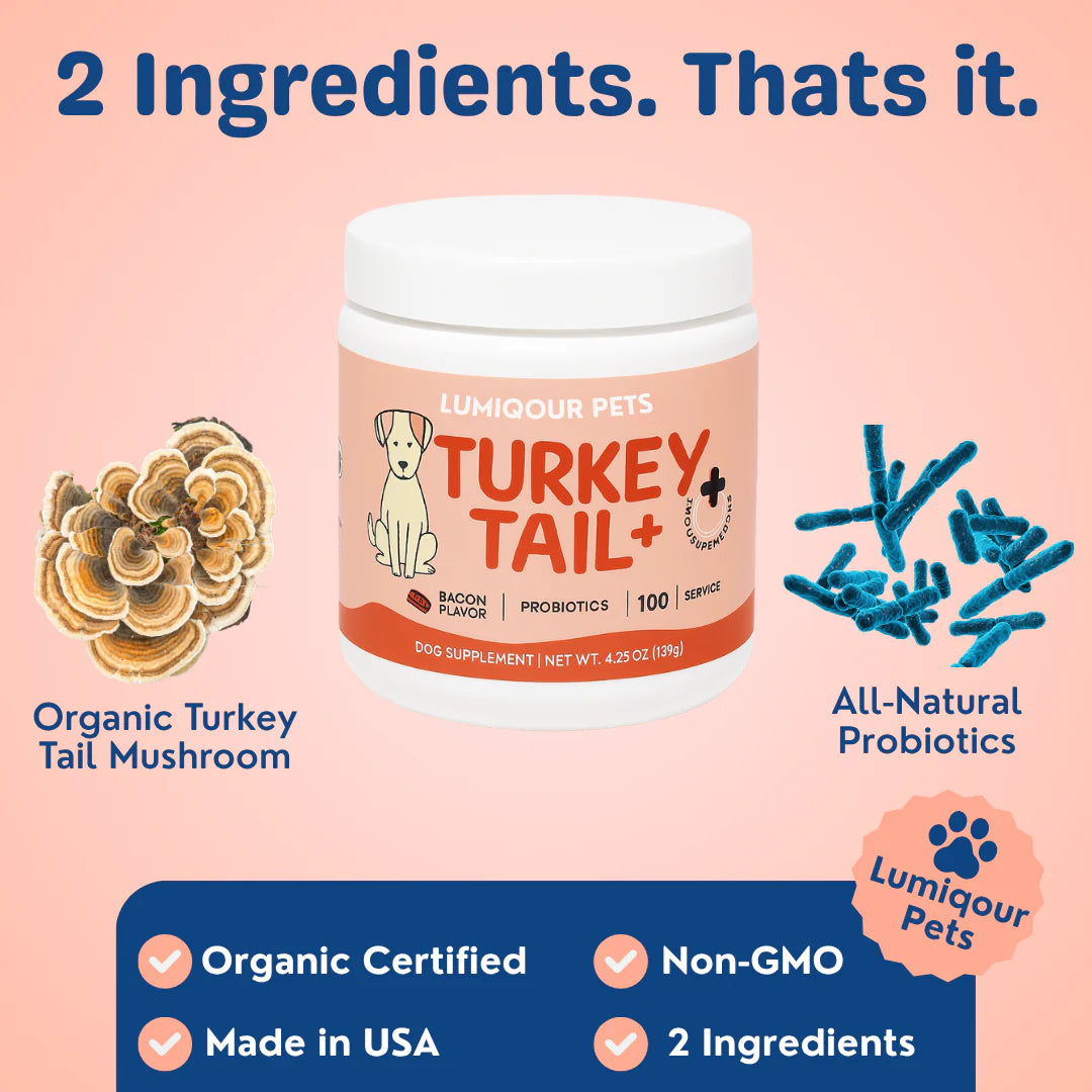 Turkey Tail Probiotic™