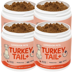 Turkey Tail Probiotic™