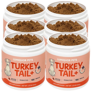 Turkey Tail Probiotic™