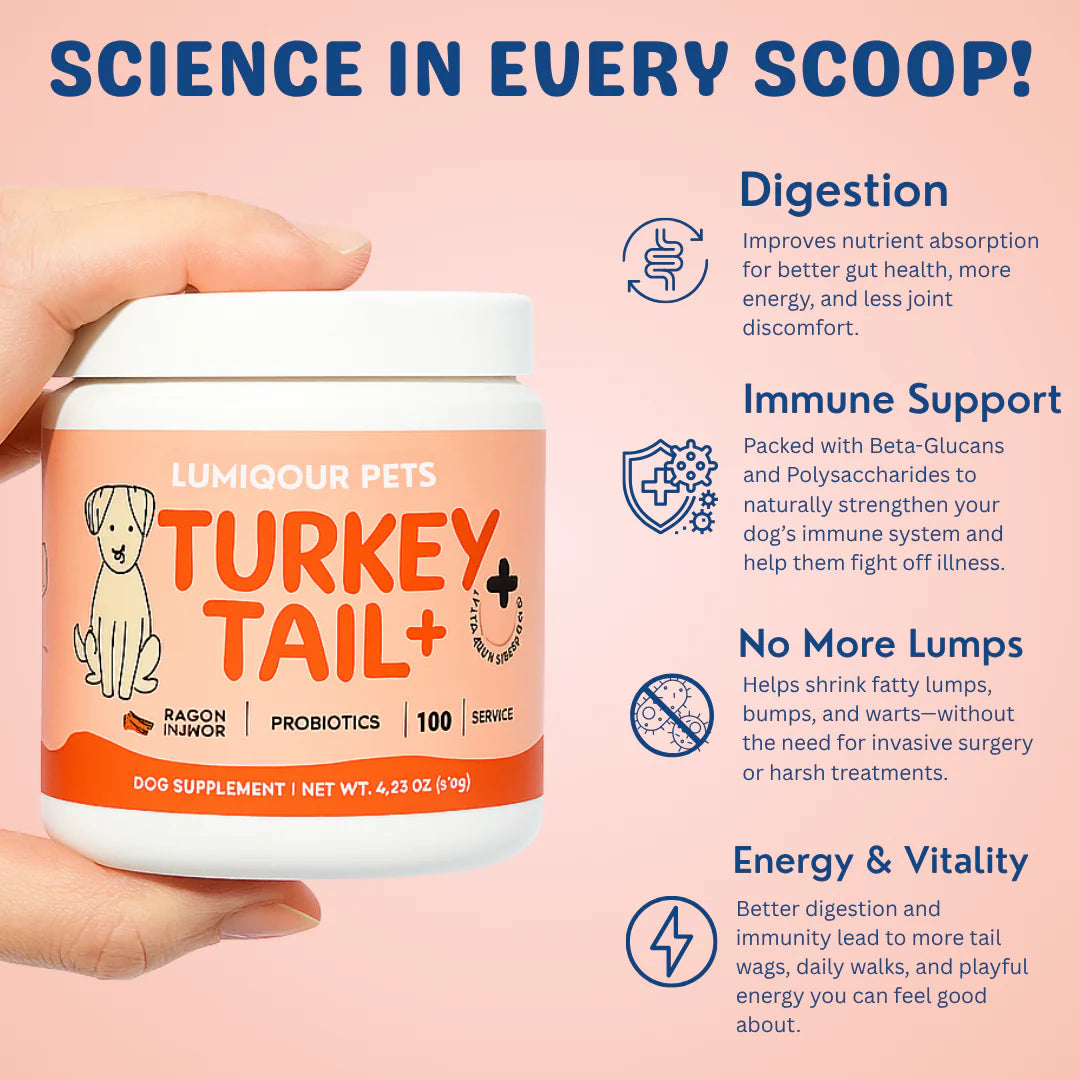 Turkey Tail Probiotic™