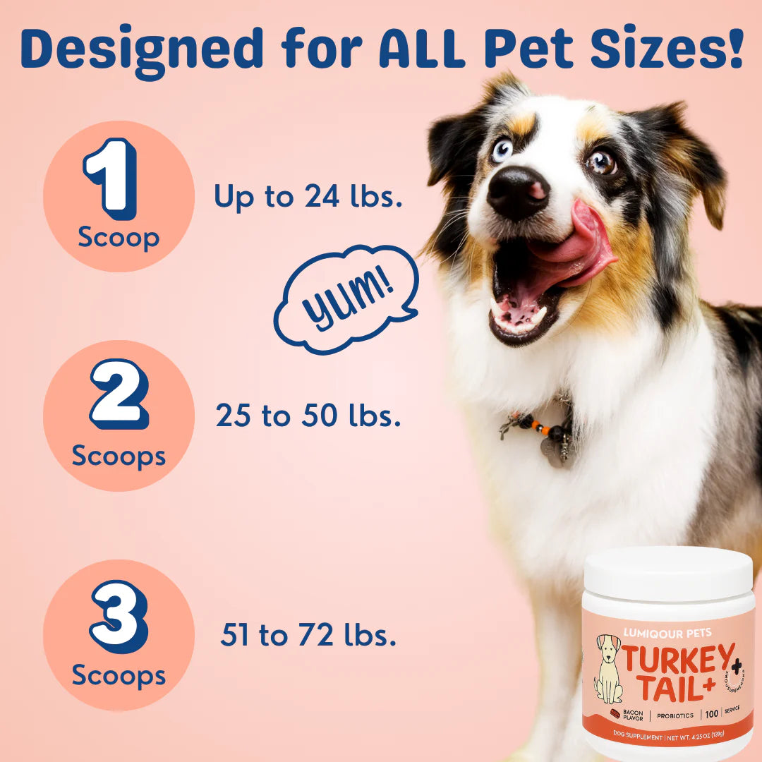 Turkey Tail Probiotic™